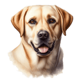 Personalised Dog Breed Printed 11oz Ceramic Mug