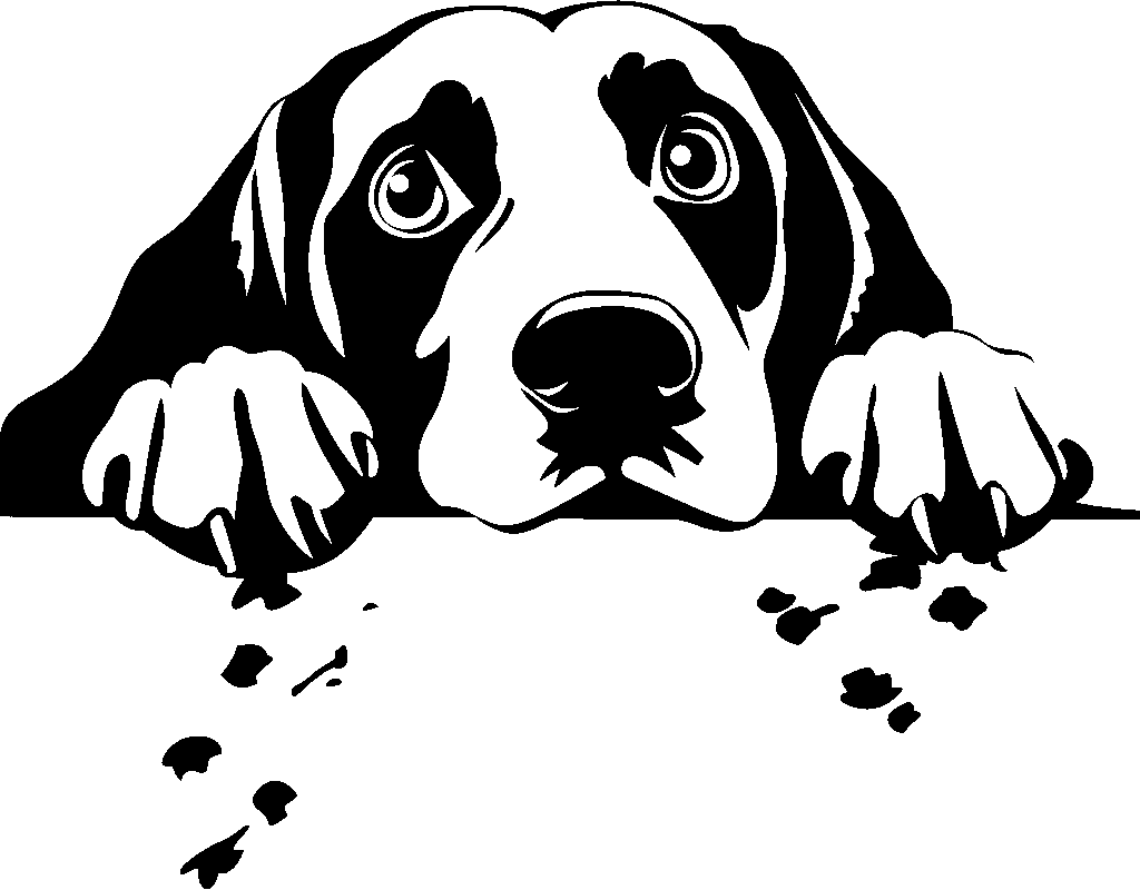 Personalised Stainless Steel Dog Tag