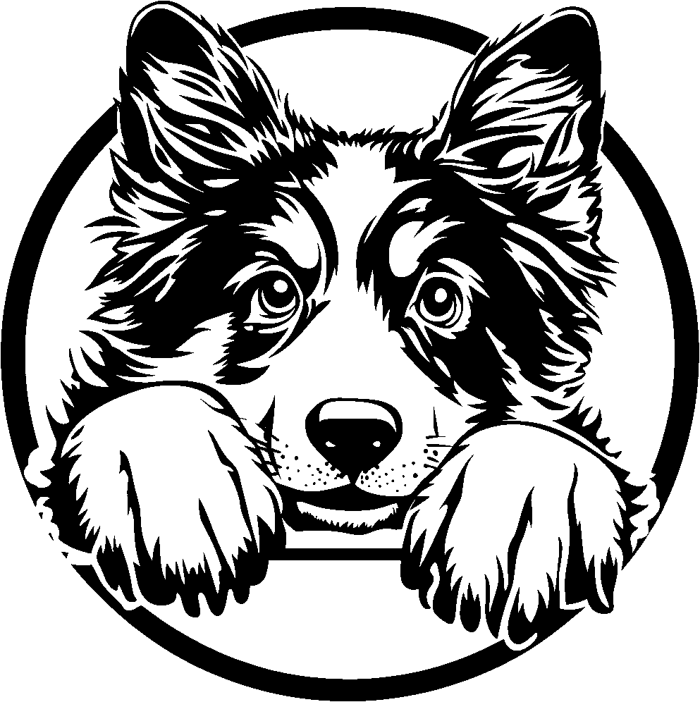 Personalised Stainless Steel Dog Tag