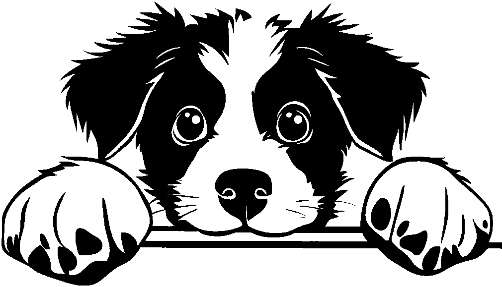 Personalised Stainless Steel Dog Tag