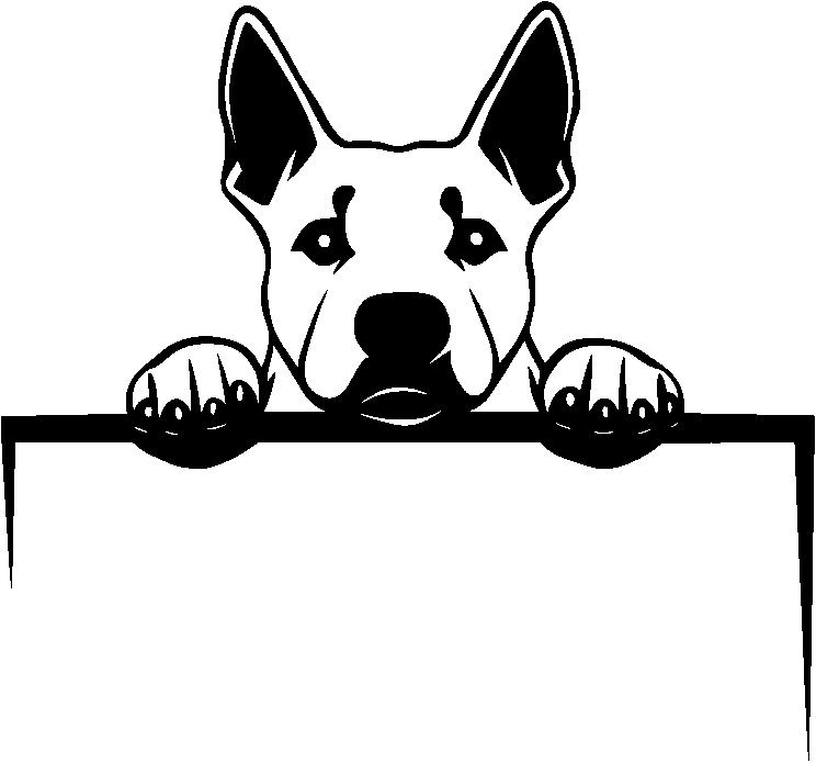 Personalised Stainless Steel Dog Tag