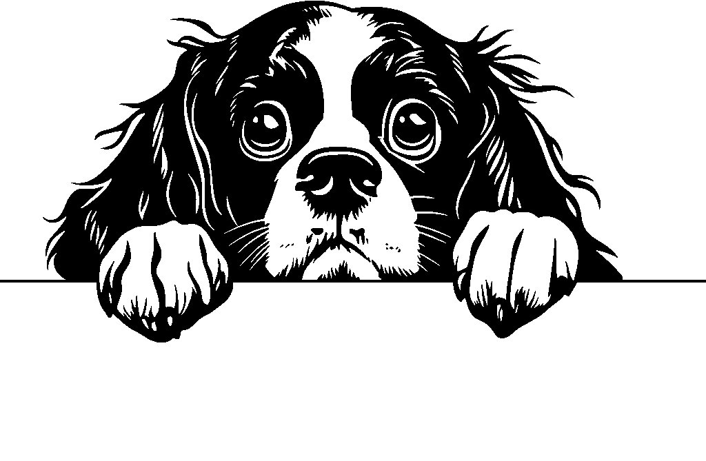 Personalised Stainless Steel Dog Tag