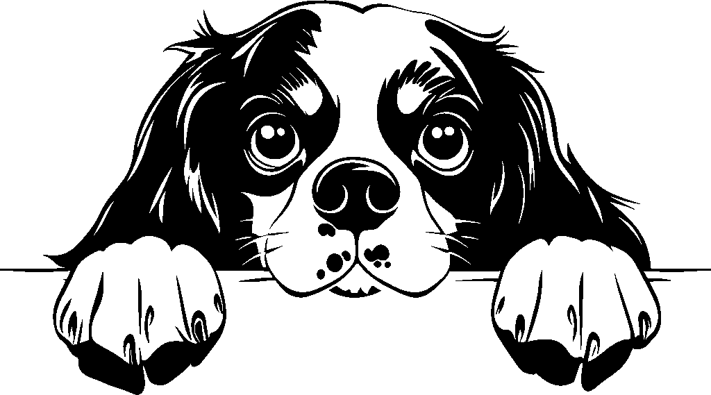 Personalised Stainless Steel Dog Tag