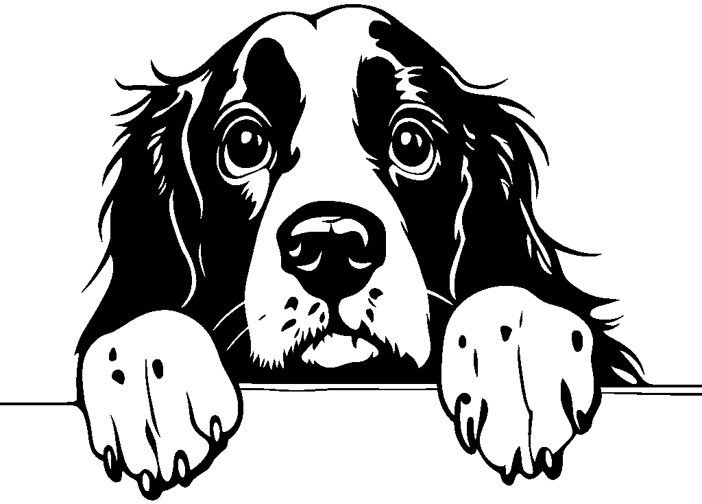 Personalised Stainless Steel Dog Tag