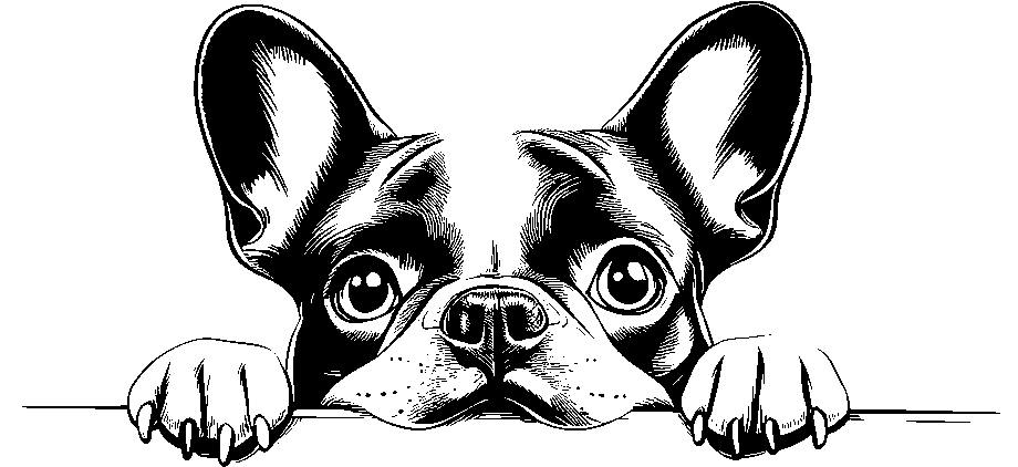 Personalised Stainless Steel Dog Tag