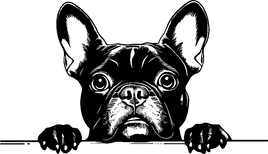 Personalised Stainless Steel Dog Tag