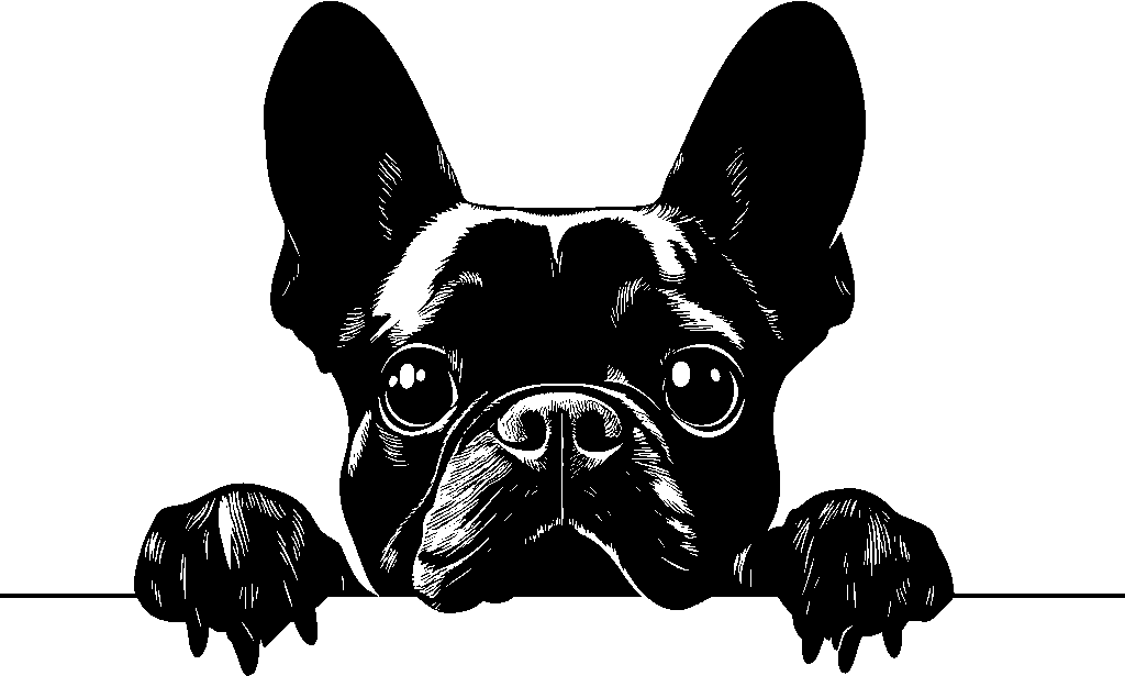 Personalised Stainless Steel Dog Tag