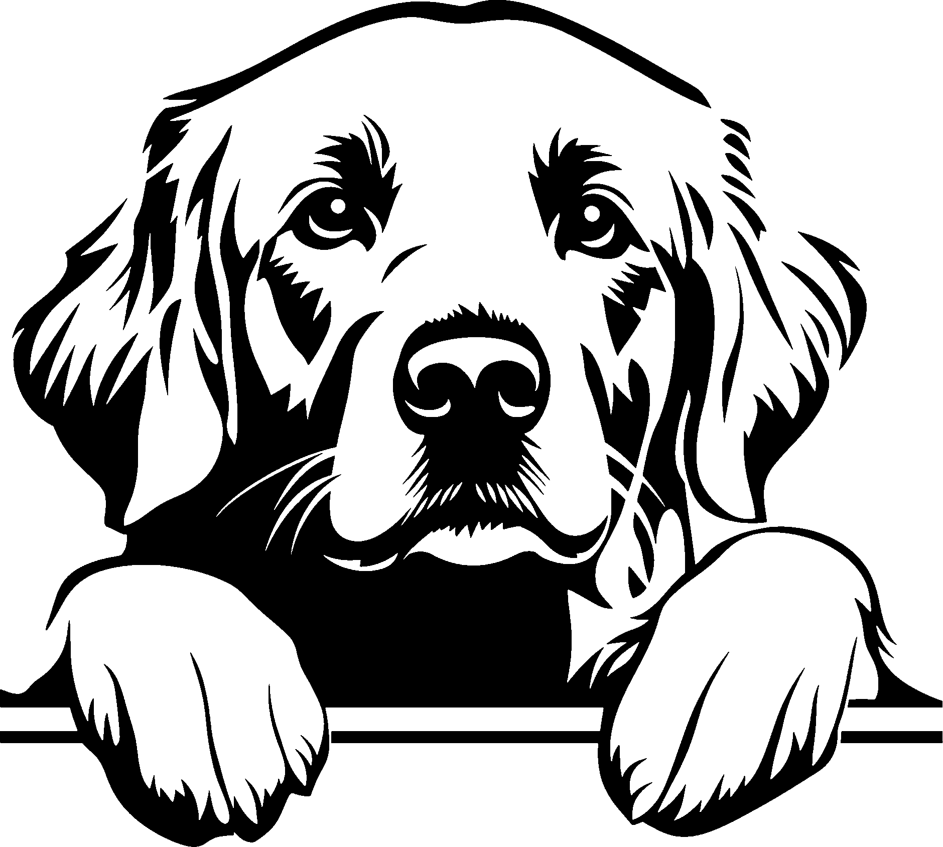 Personalised Stainless Steel Dog Tag