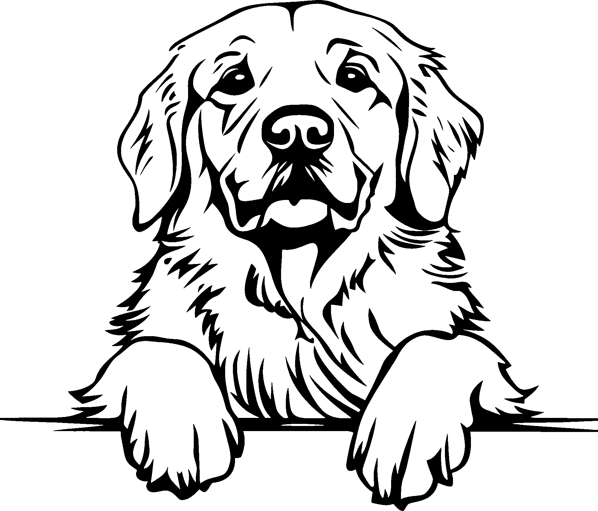 Personalised Stainless Steel Dog Tag