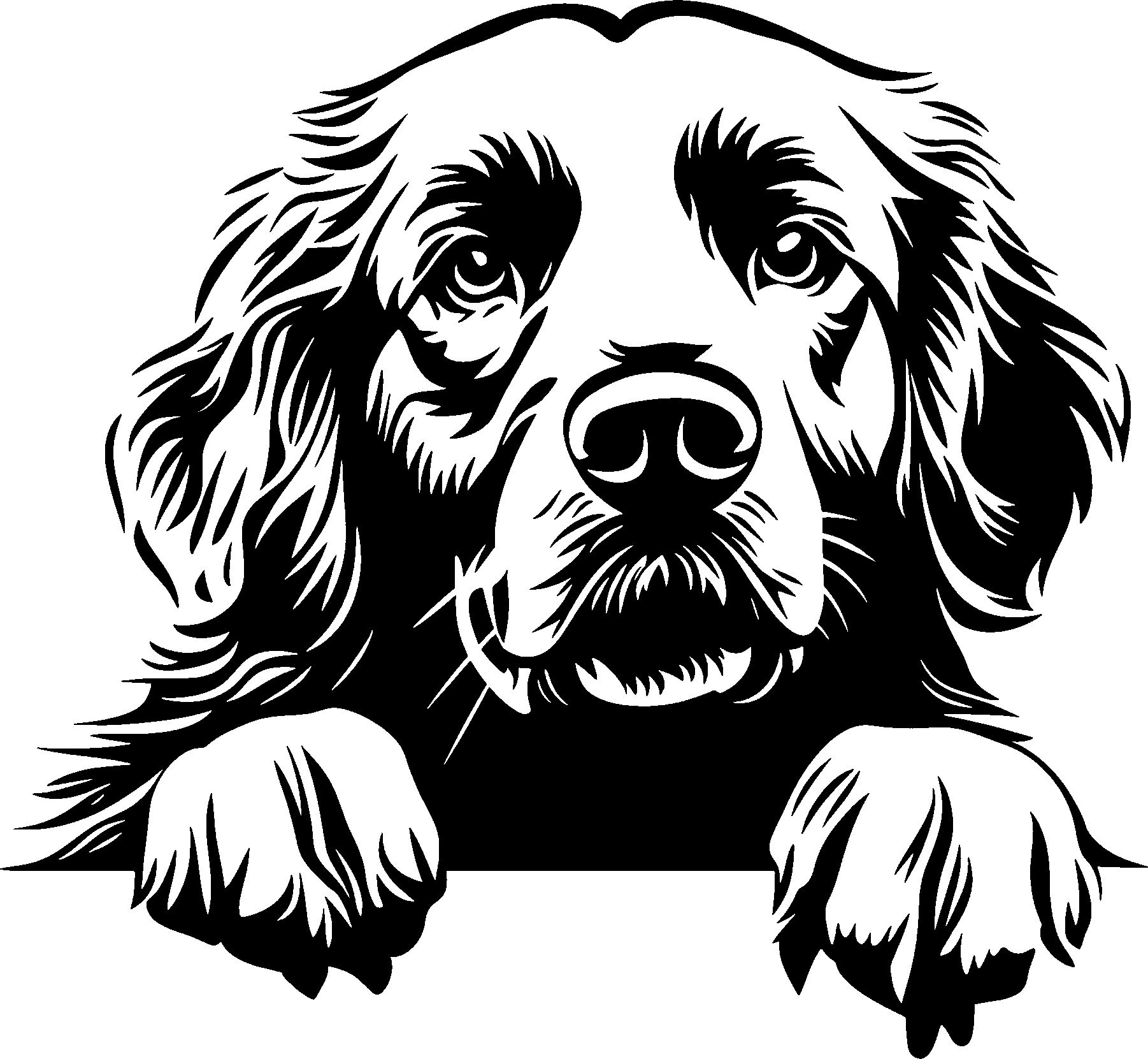 Personalised Stainless Steel Dog Tag