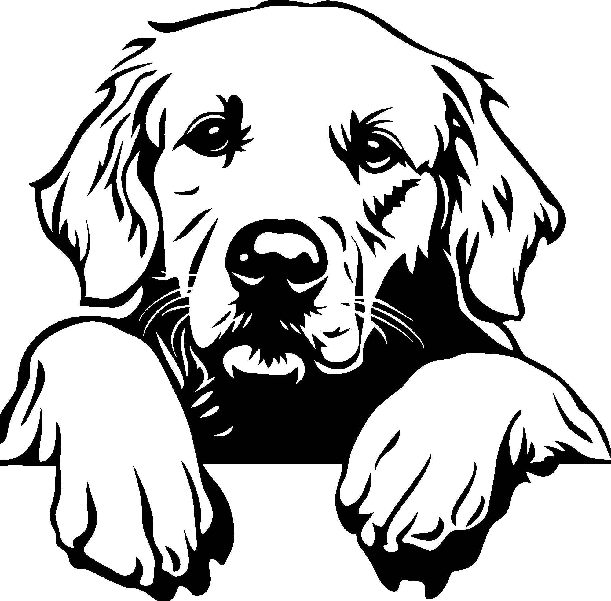 Personalised Stainless Steel Dog Tag