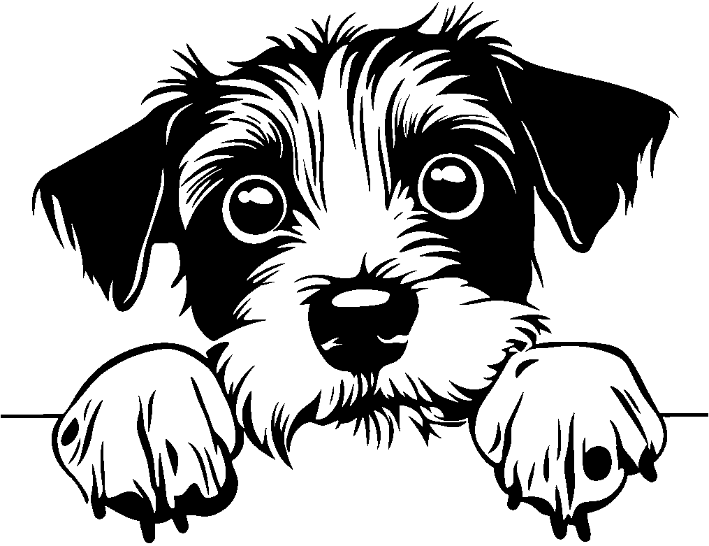 Personalised Stainless Steel Dog Tag