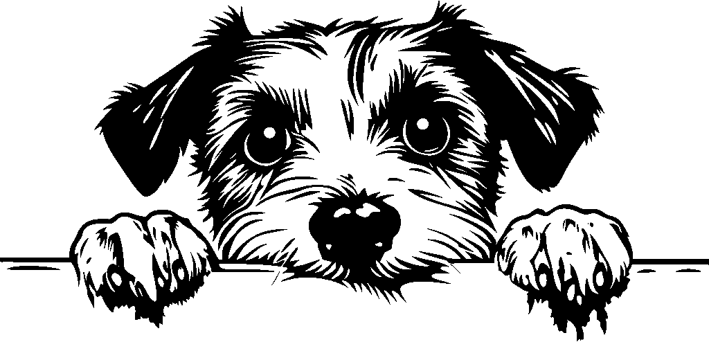 Personalised Stainless Steel Dog Tag