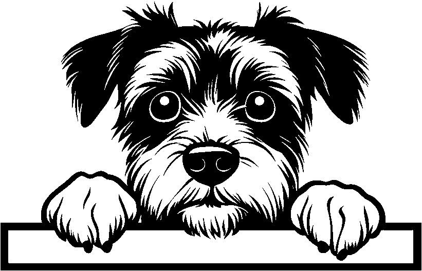 Personalised Stainless Steel Dog Tag