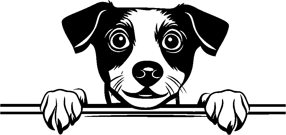 Personalised Stainless Steel Dog Tag