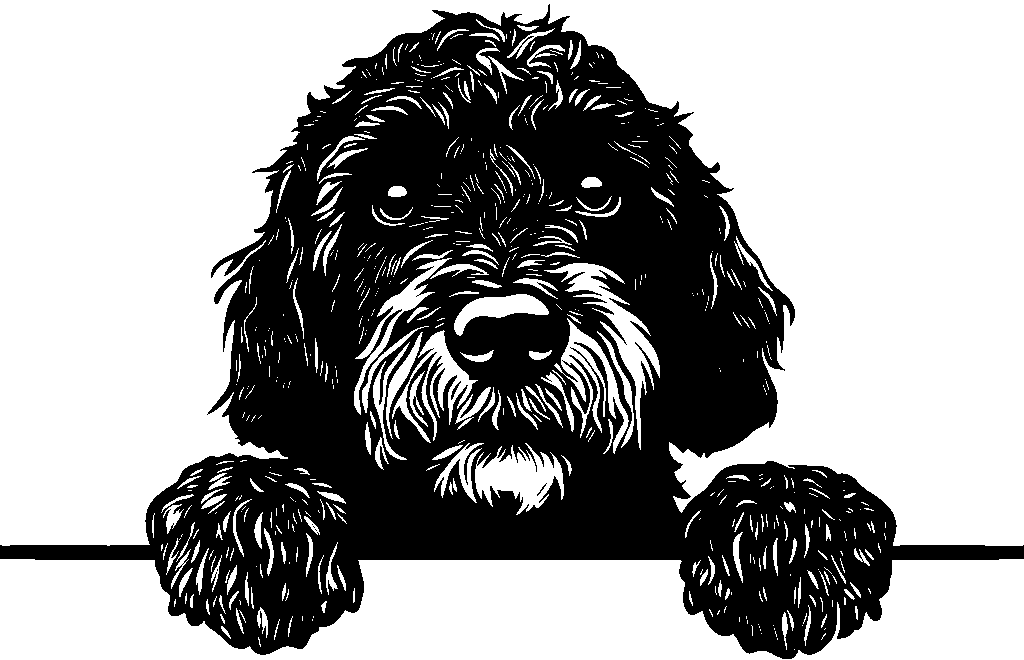 Personalised Stainless Steel Dog Tag