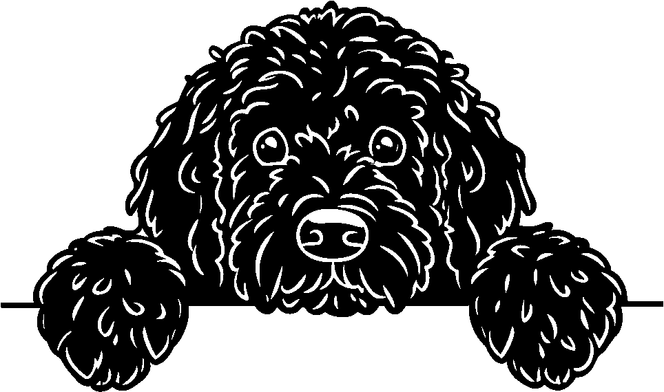 Personalised Stainless Steel Dog Tag