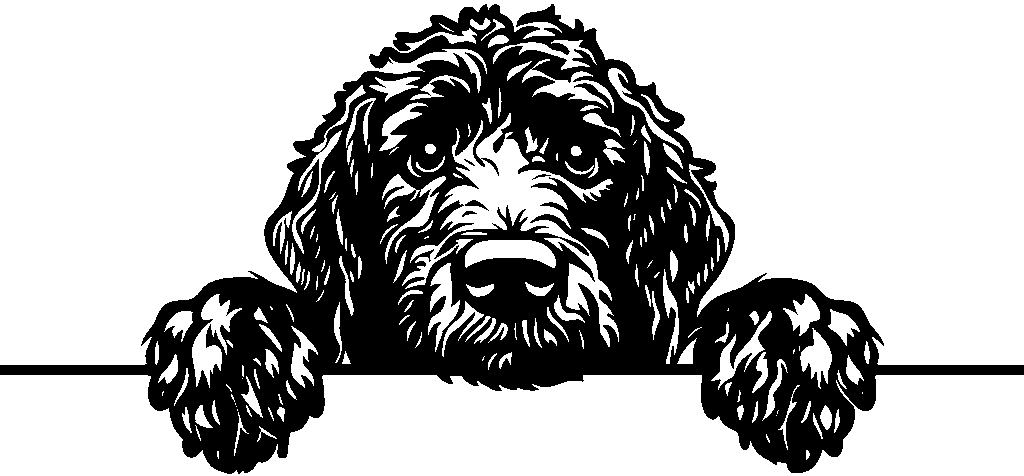 Personalised Stainless Steel Dog Tag