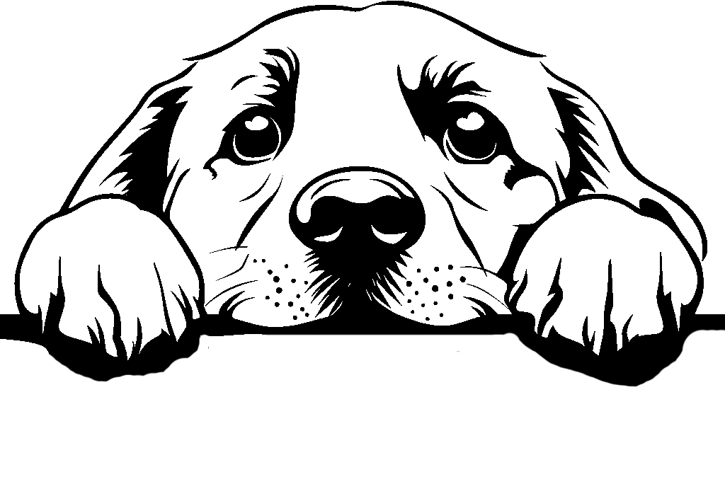 Personalised Stainless Steel Dog Tag