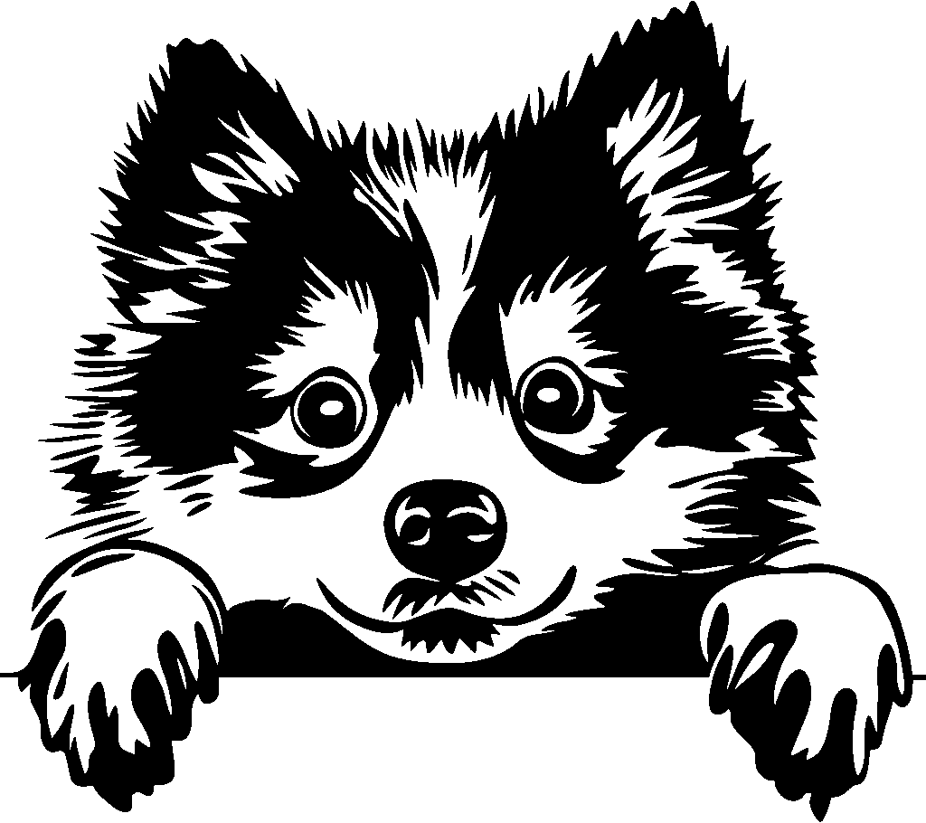 Personalised Stainless Steel Dog Tag