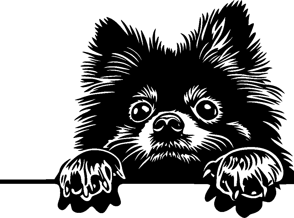 Personalised Stainless Steel Dog Tag