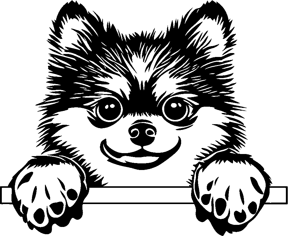 Personalised Stainless Steel Dog Tag