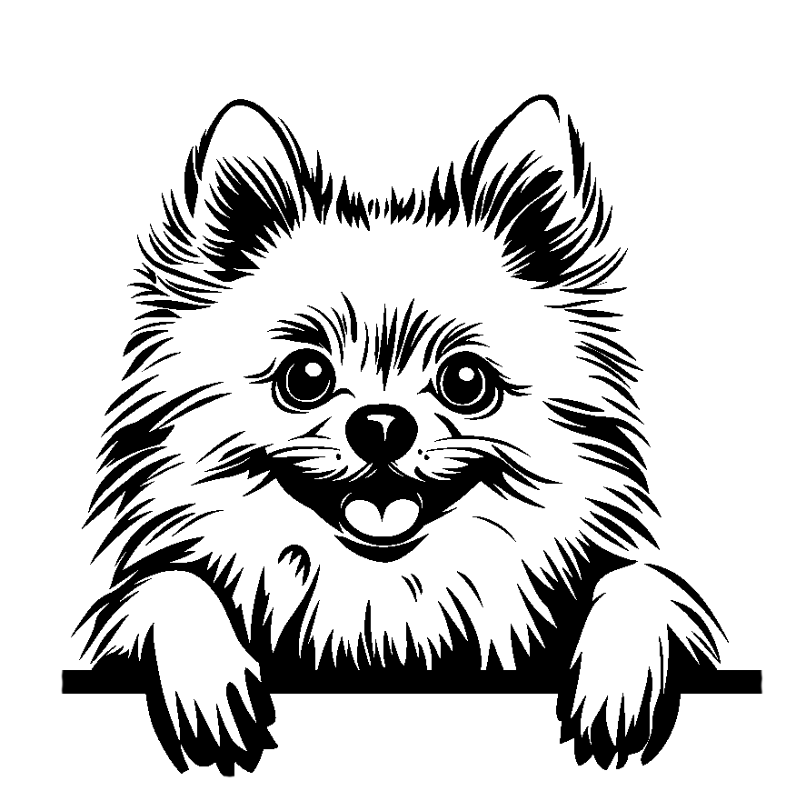 Personalised Stainless Steel Dog Tag