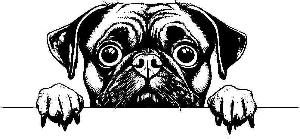 Personalised Stainless Steel Dog Tag