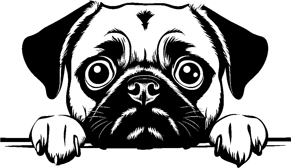 Personalised Stainless Steel Dog Tag