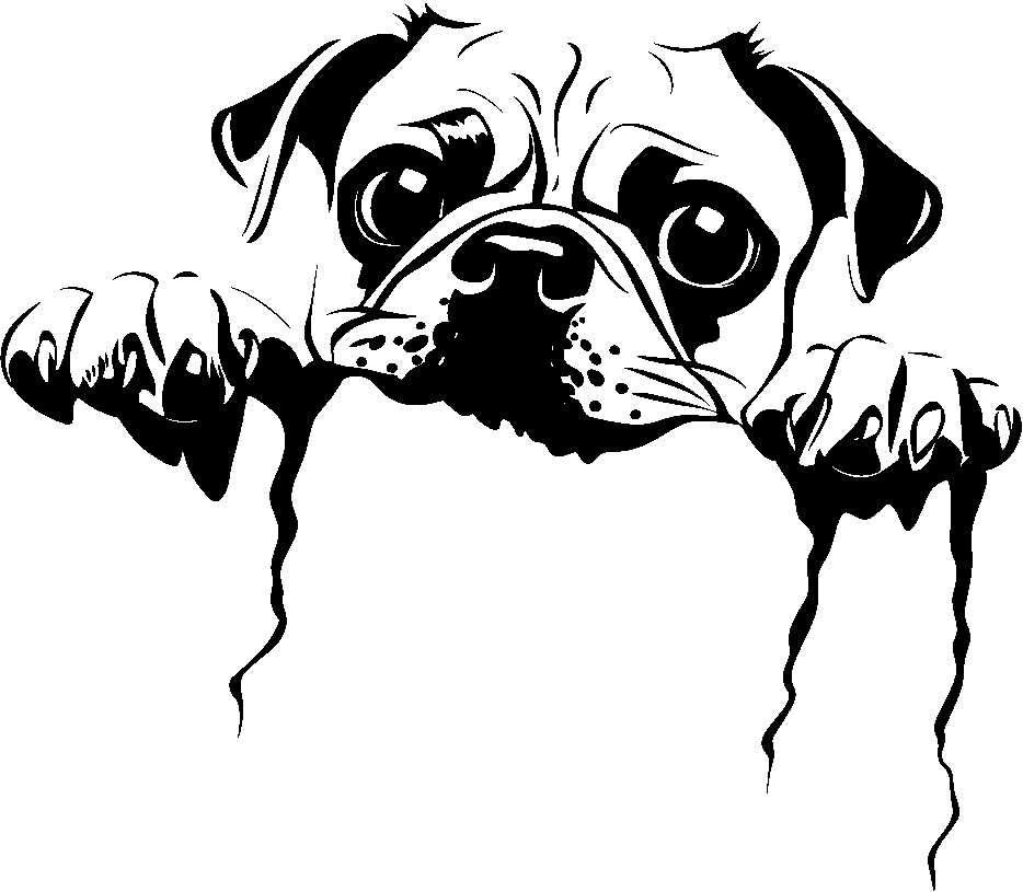 Personalised Stainless Steel Dog Tag