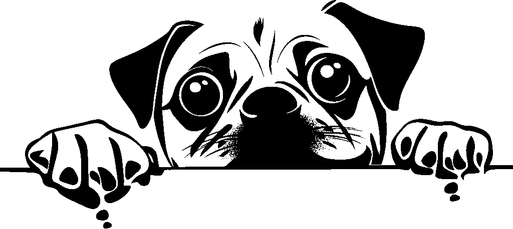 Personalised Stainless Steel Dog Tag