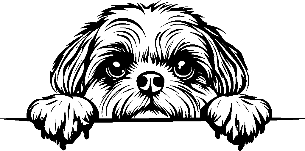 Personalised Stainless Steel Dog Tag