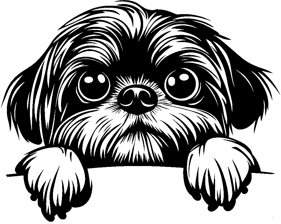 Personalised Stainless Steel Dog Tag