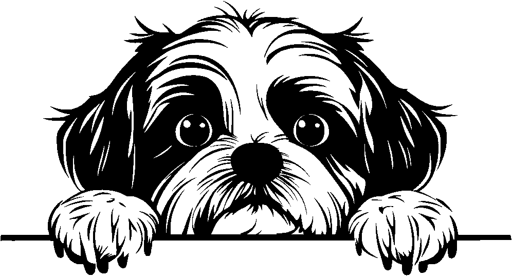 Personalised Stainless Steel Dog Tag