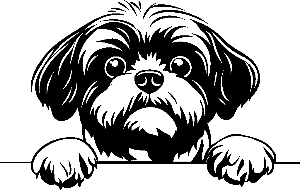 Personalised Stainless Steel Dog Tag