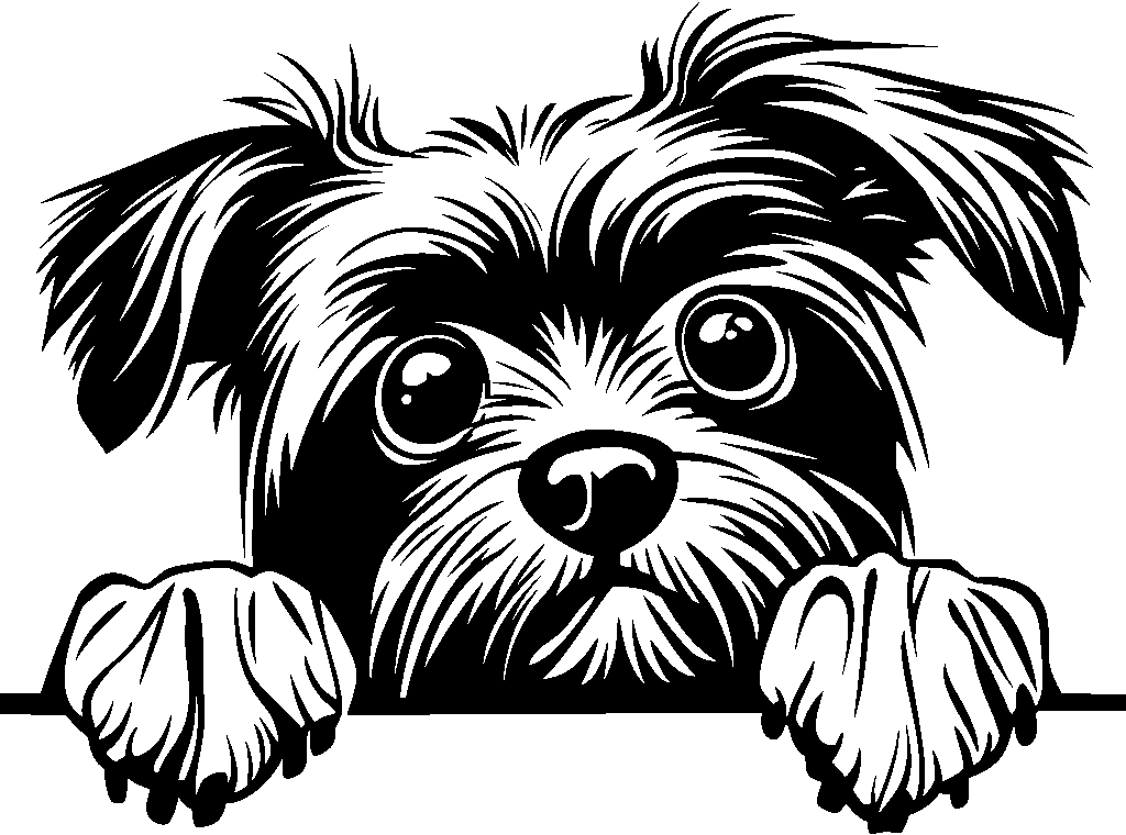 Personalised Stainless Steel Dog Tag