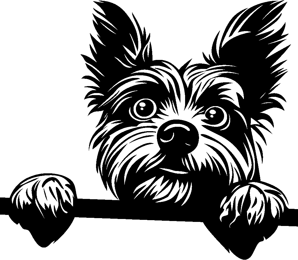 Personalised Stainless Steel Dog Tag